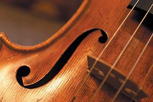 violin